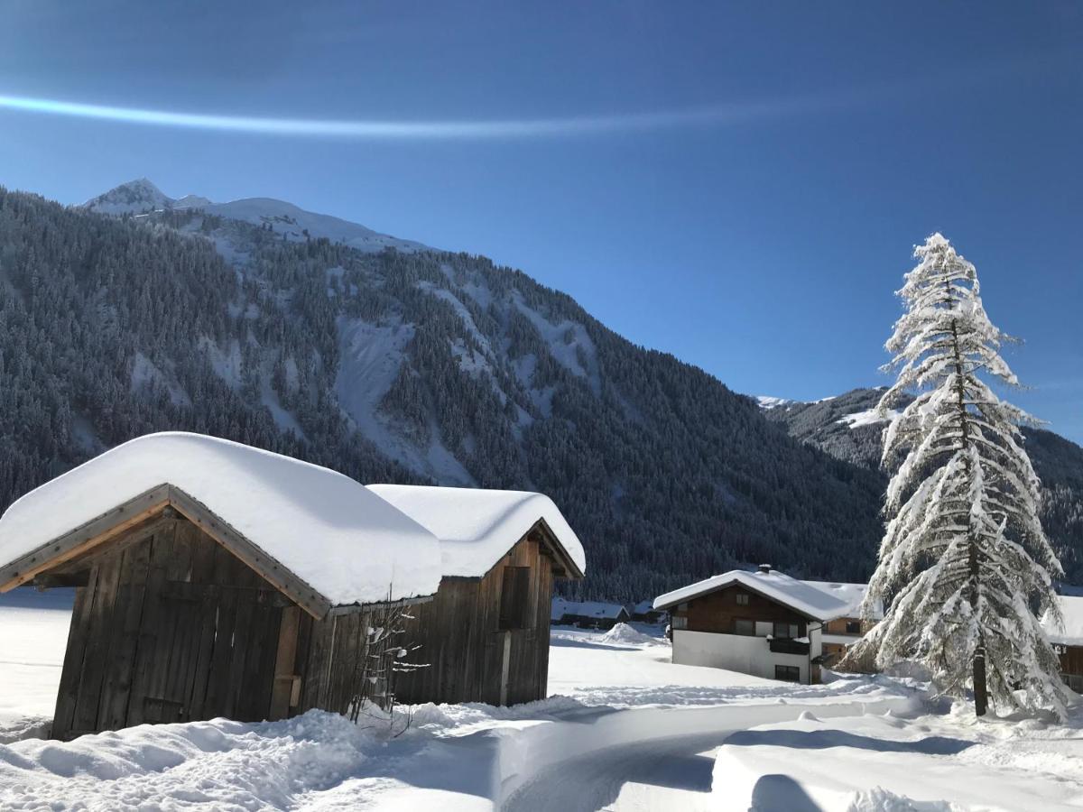 Ferienwohnungen Lingg Schoppernau Buitenkant foto